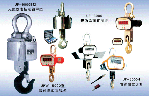 電子吊秤稱重不穩定的快速處理方法(圖1) 電子吊秤稱重不穩定的快速處理方法